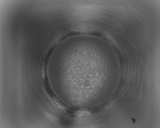 X0000072520644200607211424