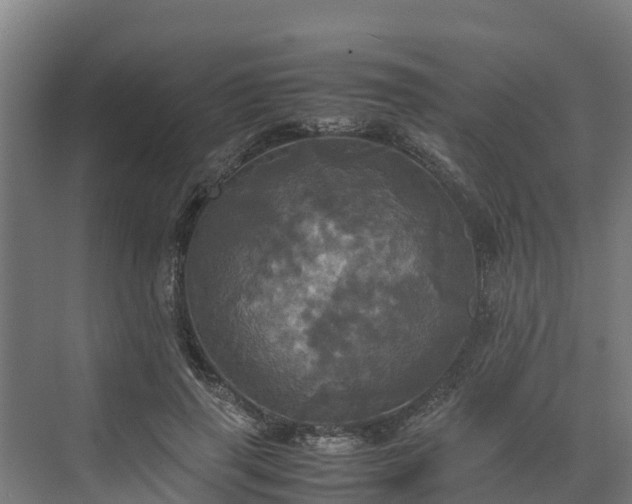 X0000072520645200607211424