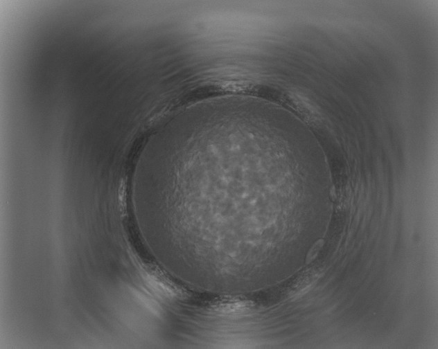 X0000072520646200607211424