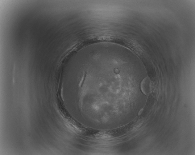 X0000072520648200607211424