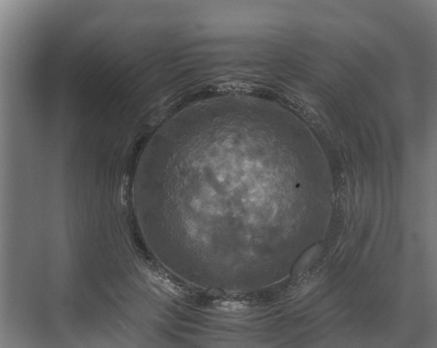 X0000072520649200607211424