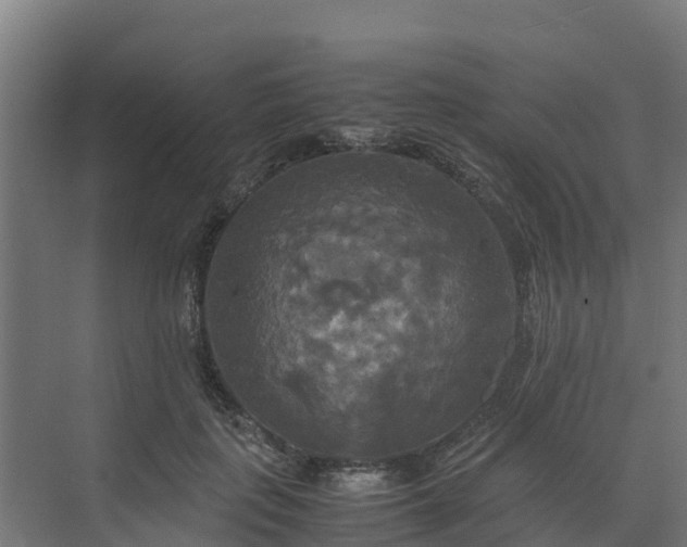 X0000072520651200607211424