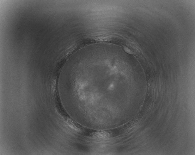 X0000072520652200607211424