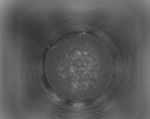 X0000072520653200607211424