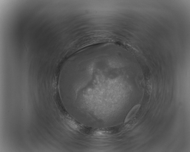 X0000072520657200607211425