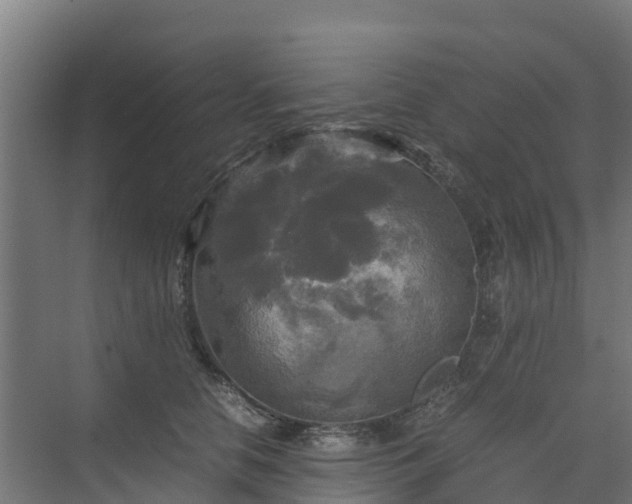 X0000072520658200607211425