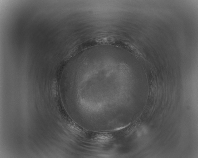 X0000072520659200607211425