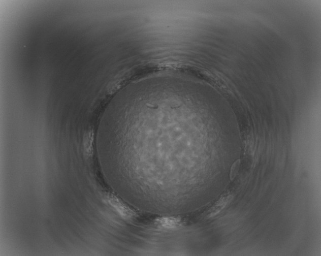 X0000072520660200607211425