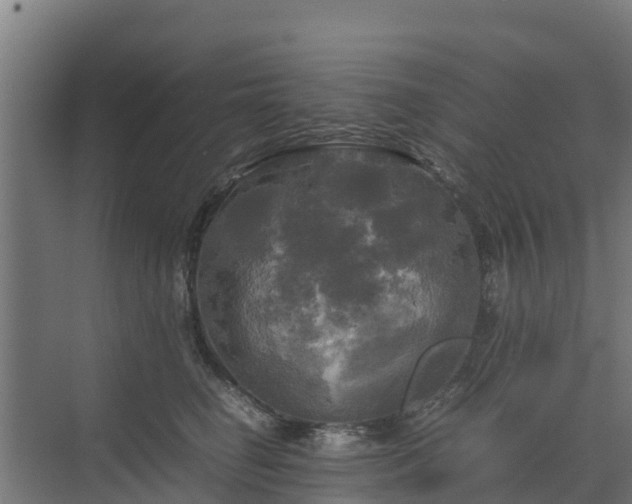 X0000072520662200607211425