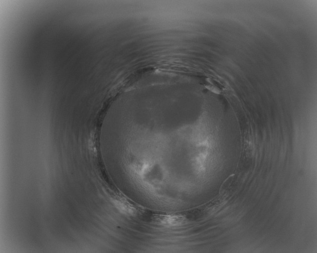 X0000072520663200607211425