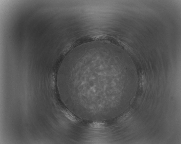 X0000072520664200607211425