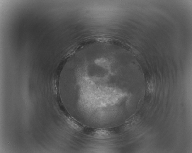 X0000072520666200607211425