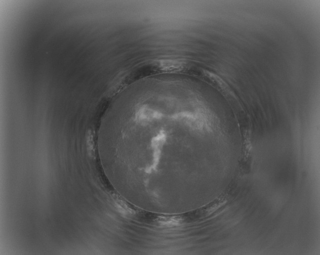 X0000072520667200607211425