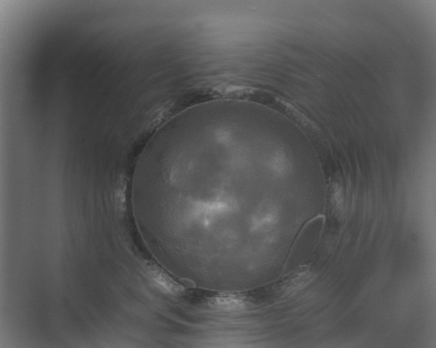 X0000072520668200607211425