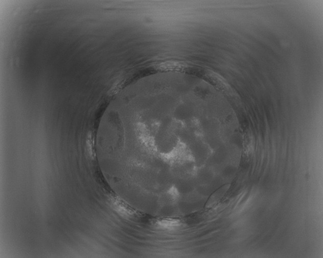 X0000072520669200607211425