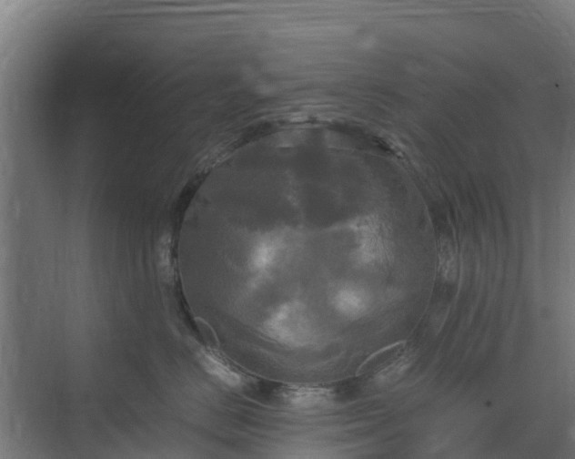 X0000072520670200607211425