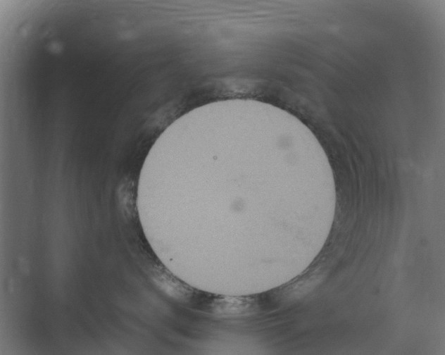 X0000072520672200607211425