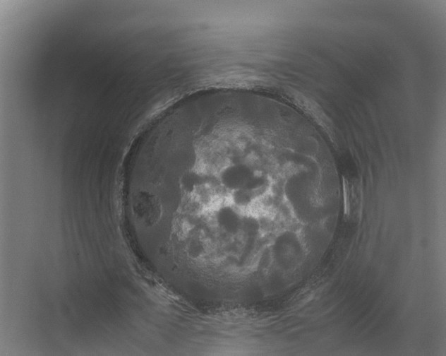 X0000072520675200607211424