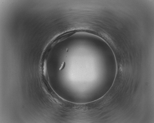 X0000072520676200607211424