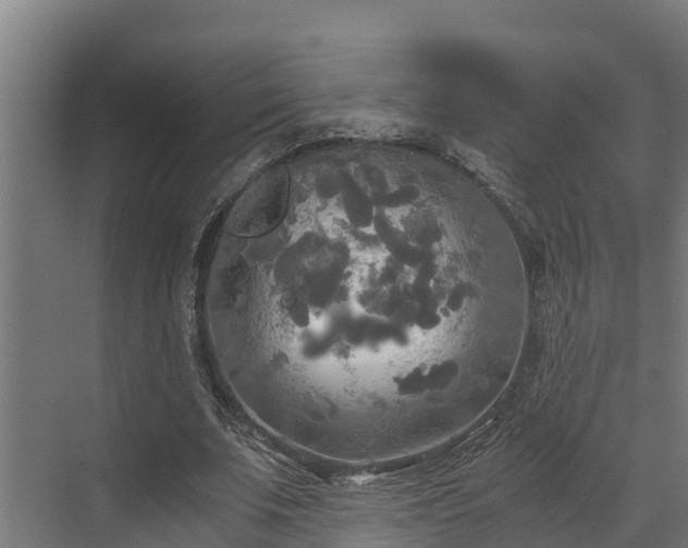 X0000072520679200607211424