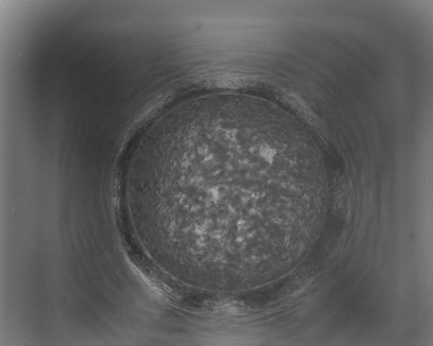 X0000072520683200607211424