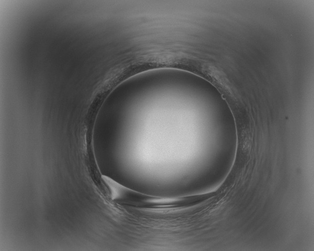 X0000072520685200607211424