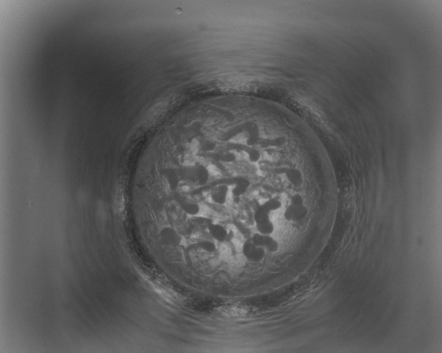 X0000072520687200607211424