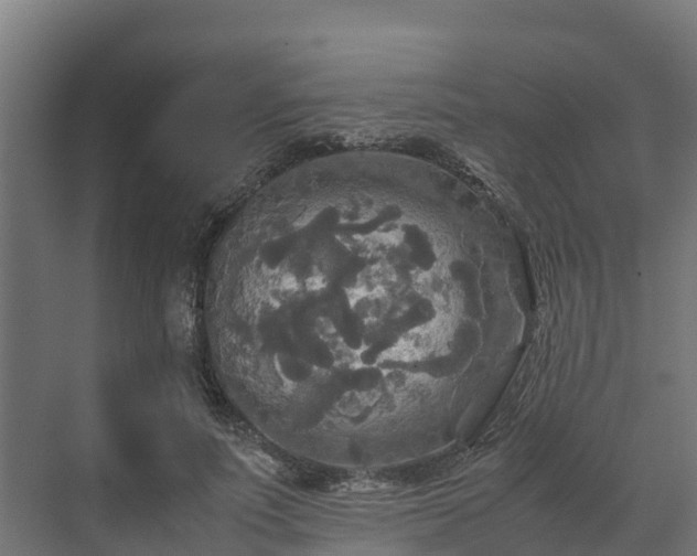 X0000072520691200607211424