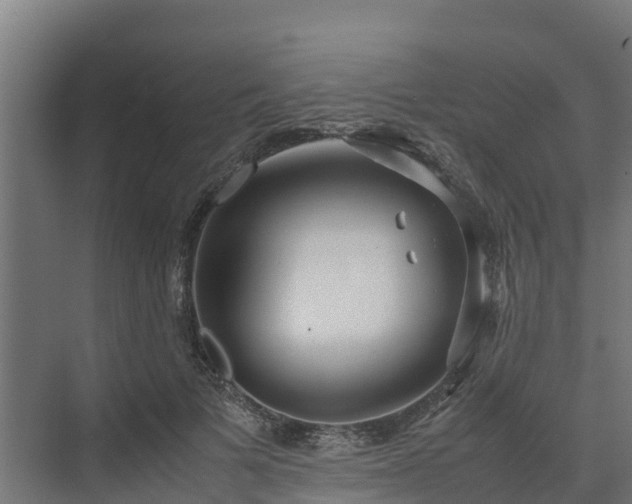 X0000072520697200607211424