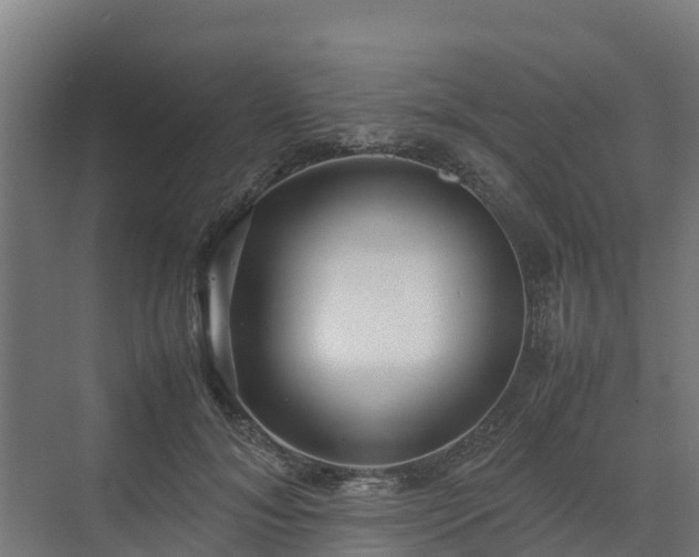 X0000072520700200607211424