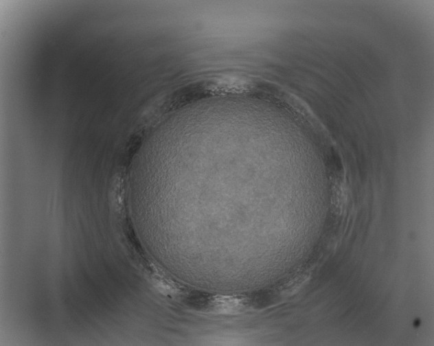 X0000072520701200607211424