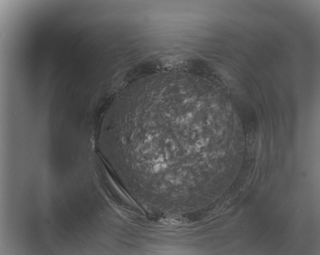 X0000072520703200607211423