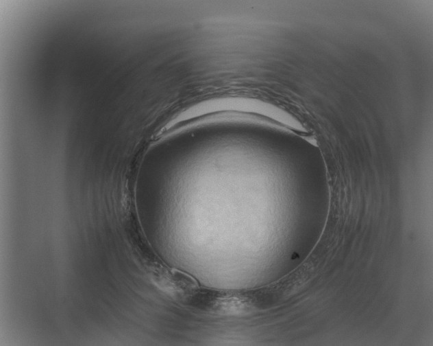 X0000072520704200607211423