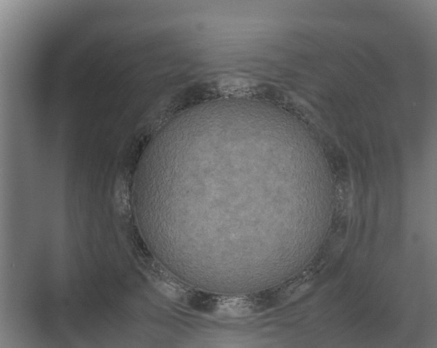 X0000072520705200607211423