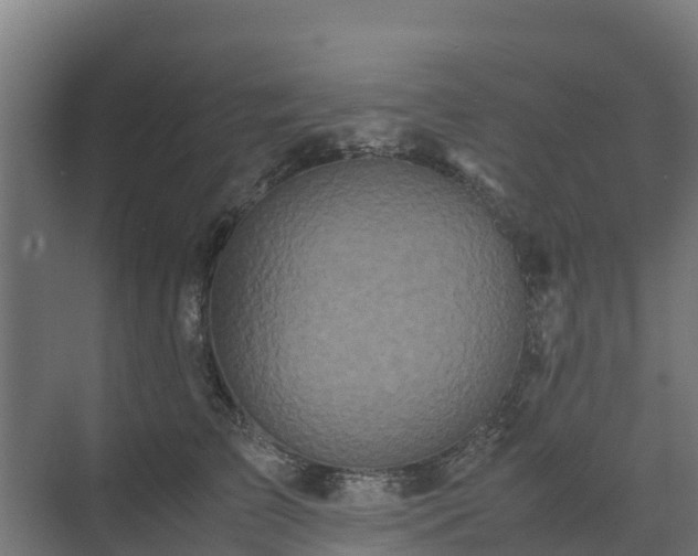 X0000072520709200607211423