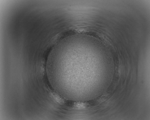 X0000072520710200607211423