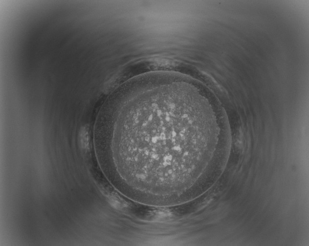 X0000072520715200607211423