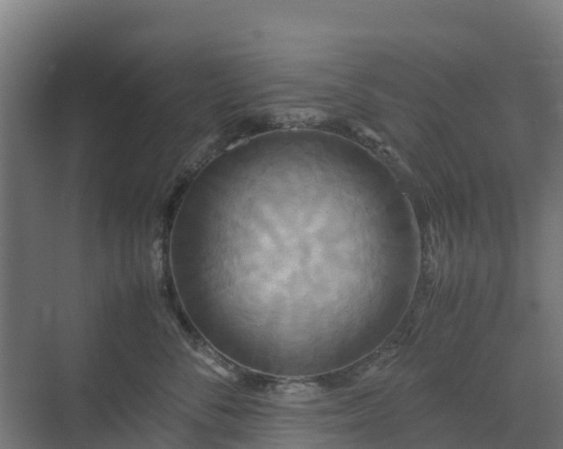 X0000072520716200607211423