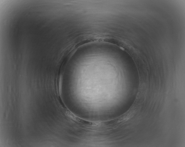 X0000072520720200607211423