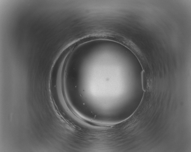 X0000072520724200607211422