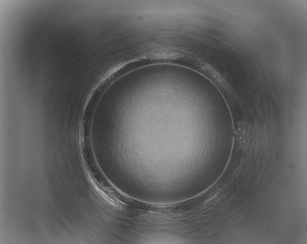 X0000072520726200607211422