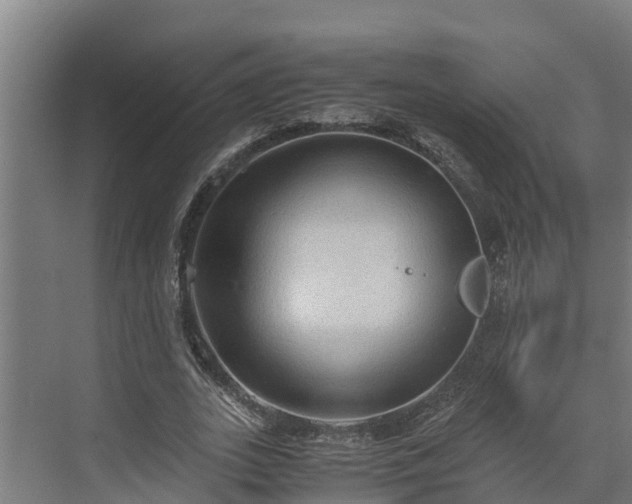 X0000072520727200607211422