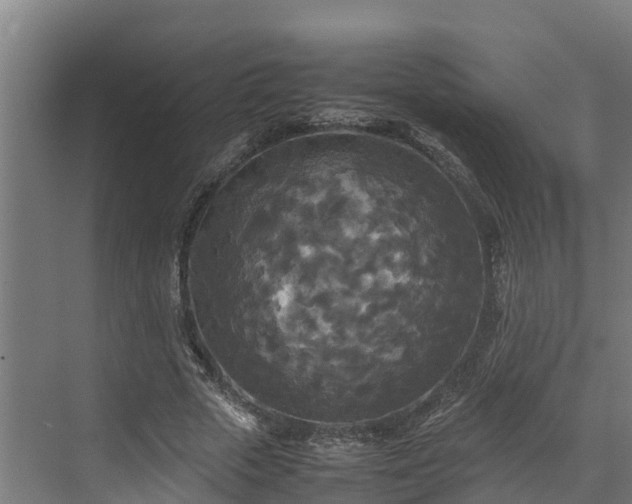 X0000072520729200607211422