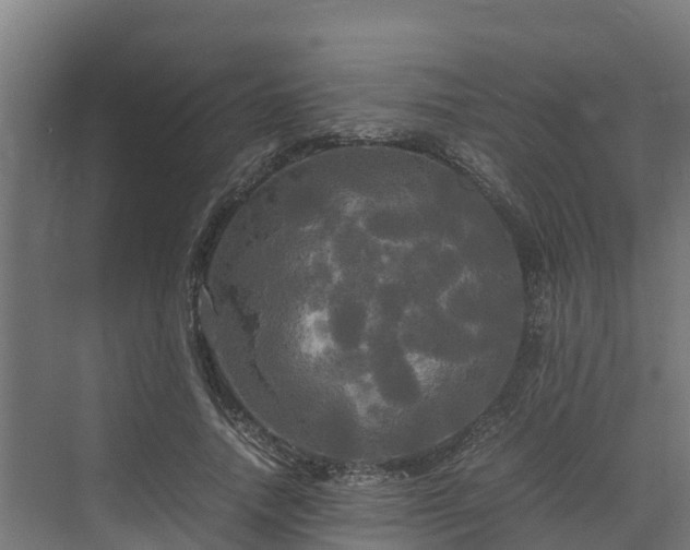 X0000072520738200607211423