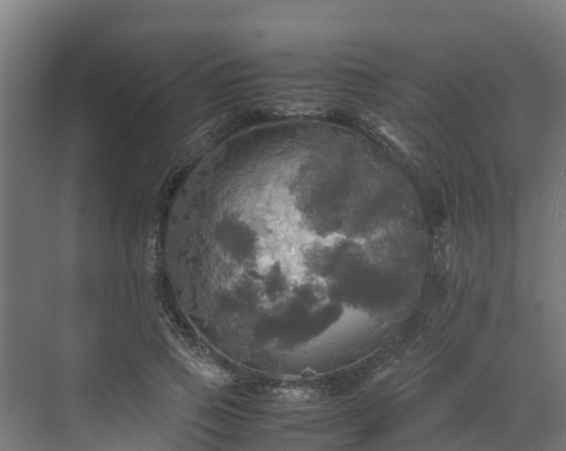 X0000072520741200607211423