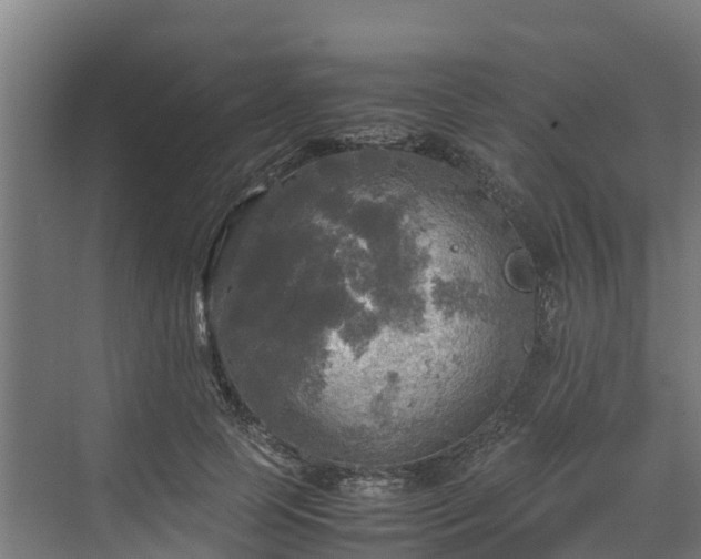 X0000072520745200607211423