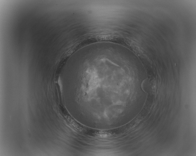 X0000072520746200607211423