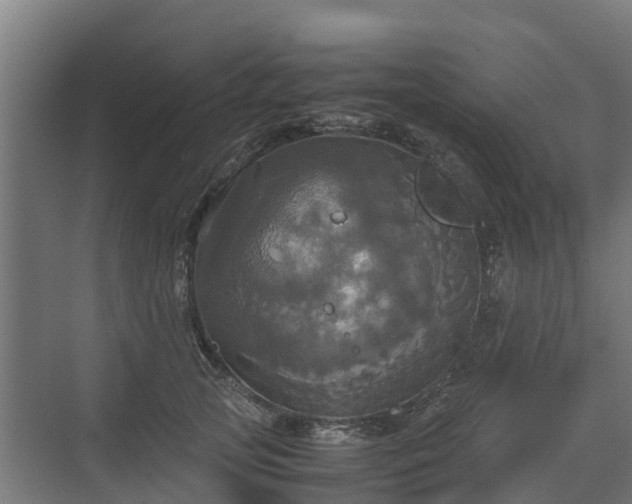 X0000072520753200607211423