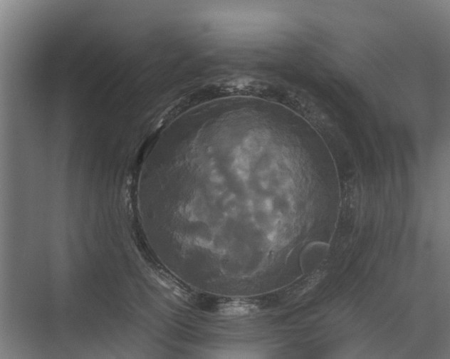 X0000072520754200607211423