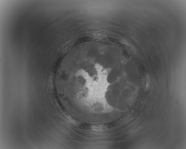 X0000072520757200607211423